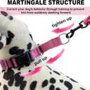 Martingale Collar for Dogs,Reflective Martingale Dog Collars with Quick Release Buckle,Adjustable Nylon No Pull Dog Collar for Walking Training (Red, Extra Large) (Medium)