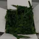 Christmas Garland Decorations Indoor Decor: 6 FT Artificial Realistic Pine Garland Green Faux Greenery Garland for Mantle Staircase Table Wall Outdoor Christmas Decorations