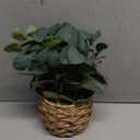 DILATATA Artificial Eucalyptus Stems in Woven Basket Planter, 11" Fake Plant Eucalyptus Leaves with White Seeds Faux Potted Plant Greenery for Table Centerpiece Office Indoor Home Decor