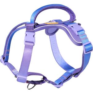 DF Freedom No Pull Martingale Dog Harness, Gentle Control for No Choking, Front Clip Harness with Reflective, Adjustable & Padded Handle for Easy Walking & Training, Rainbow, 1", Chest 22.4"-30.4" (6)