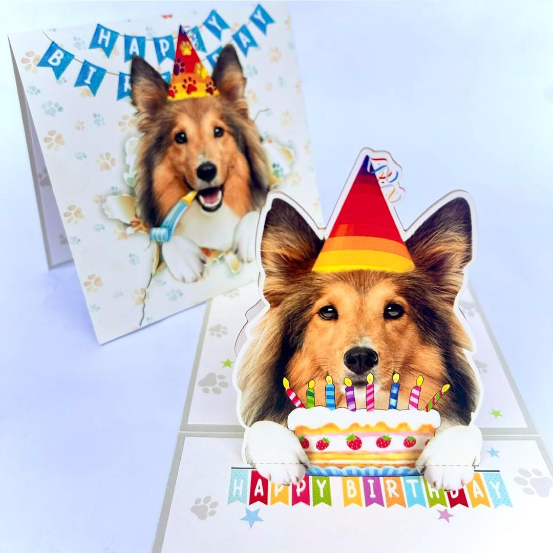 4 x Shetland Sheepdog Birthday Card 3D Pop Up  Sheltie Dog with Party Hat & Birthday Cake, Funny Birthday Card for Sheltie Lovers, Shetland Sheepdog Mom Dad Gift, 6x6 Inch, Includes Envelope
