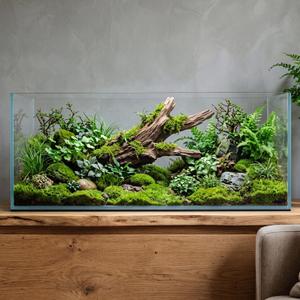 11.9 Gallon Rimless Low‑Profile Aquarium, Long Shallow Rimless Fish Tank