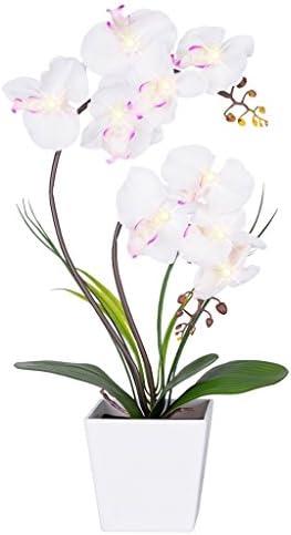 HOMESEASONS Orchid Lamp-LED Lighted Orchid Arrangements,Pre Lit Artificial Orchid,Light Up Flower Lights, Faux Orchid Phalaenopsis Arrangement (White)