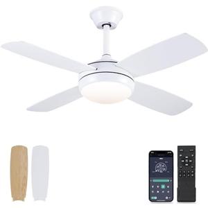 Asyko 42" Ceiling Fans with Lights, White Modern Ceiling Fan with Remote and APP Control, 6 Speed and Memory Function, Low Profile Ceiling Fan Light for Bedroom, Living Room, Dinning Room