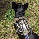 2 x AUROTH Dog Patches 8 Pieces, Dog Vest Patches with Hook Backing for pet Vest Harnesses, Pet Carrier, Personalized Patches Glows in The Dark Size M (M-4.5X1.5, Series 2)