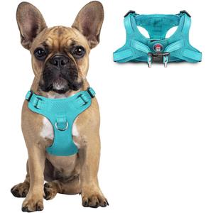 Dog Harness Step in Dog Vest Harness, Reflective Adjustable Puppy No Pull Harness Breathable Soft for Small Dogs Cats, Ocean Blue, S