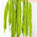 7Pcs Green Dried Amaranthus Hanging Flowers - 100% Natural Dye Neon Green 23" Real Amaranthus , Preserved Dried Flowers for Wedding Arch Decor, Exhibition, Floral Arrangement