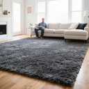 Grey Area Rugs for Bedroom Living Room, 4x6 Soft Large Fluffy Fuzzy Shag Plush Furry Grey Carpet, Soft Indoor Floor Mat for Kids Nursery Home Dorm Office Decor Aesthetic