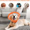ASENKU Dog Cone Collar, Soft Adjustable Cone for Dogs to Stop Licking, Lightweight Recovery Dog Cone After Surgery, Pet E-Collar for Small, Medium & Large Dogs(Orange, M)