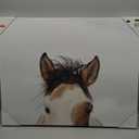 Giant Art Canvas 28"x22" Eyes, Frame not Included