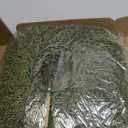 6 Pcs Small Christmas Norfolk Wreaths 15 Inch Christmas Kitchen Cabinet Mini Wreath Real Touch with Bow Ribbon Cedar Red Berry for Xmas Front Door Window Chair Fireplace Table Pillar Farmhouse Decor