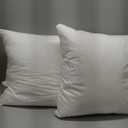 Utopia Bedding Throw Pillows Insert (Pack of 2, White) - 18 x 18 Inches Bed and Couch Pillows - Indoor Decorative Pillow