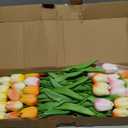 Sggvecsy 30 Pcs Fake Tulips Artificial Flowers Real Touch PU Faux Flowers Tulip Stems for Wedding Floral Arrangement Spring Bouquet Home Party Office Decorations for Mother's Day (Multi Colors)