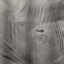 18x18 Decorative Throw Pillow Inserts-Down Feather Pillow Inserts-Square-Cotton Fabric-Set of 2-White.