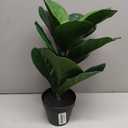 Artificial Small Fiddles Leaf Fig Tree Potted Plant,Realistic Faux Tree Fake Ficus Lyrata Indoor Plants 16inch for Home,Office,Garden,Living Room Decoration with Black Pot