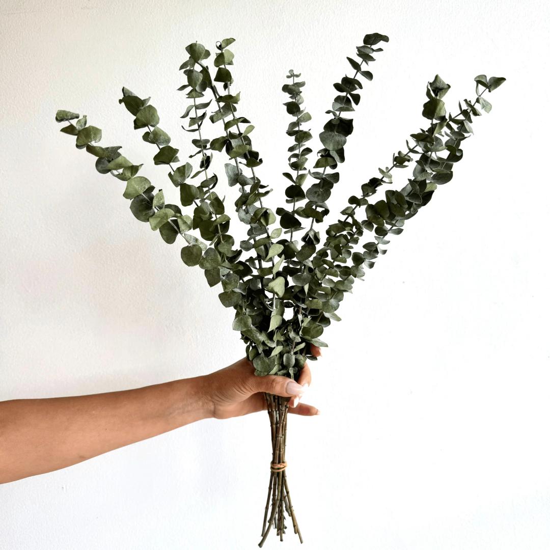 Dried  Decor,Eucalyptus Boho Dried Flowers Bouquet for Wedding Floral Arrangements Table,Home,Rustic,Farmhouse Decor