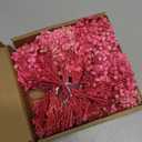 90+Pcs Mini Dried Babys Breath Flowers Pink, 4700+ Bright Pink Baby Breath Flower Bulk, Dried Flowers for Crafts, Wedding Decor Boho Invitation, Resin Candle Making, Dry Babies Flowers, Gypsophila