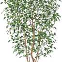 VeriNatural 8FT Artificial Ficus Tree, Indoor Faux Ficus Plant with Realistic Leaves & Natural Wood Trunk, 8ft Tall, Green, All Seasons, Perfect for Living Room Home Decor