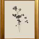 Gold Framed Neutral Floral Sketch Painting Vintage Flower Wall Art Minimalist Botanical Fine Art Print Artworks for Living Room Bedroom Bathroom Home Cottage Core Decor, 20"L x 16"W