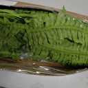 42" Artificial Boston Ferns, Bush Plants 2 Pack for Outdoors