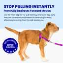 Freedom No Pull Dog Harness, Easy Walker, Front and Back Clips, Stop Pulling with 2 Stainless D-Rings, Sewn-in Instructions Tags for Easy Use, for Small Dogs Weight 20-30 lbs (Purple, Small)