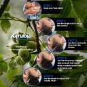 Noerrors Beard Pencil Filler for Men, Enhancement Pencil Kit with 4 Tips Pen&Temporary Beard Coloring&Brush Set Hairline Moustache Eyebrows Waterproof Filling Shaping Styling Makeup Tools #Black