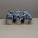 Flower Table Centerpieces - Set of 6 Floral Arrangement Artificial Wedding Hydrangeas Floral Arrangement with Rustic Metal Vase for Bridal Tea Party Event Decorations - Dusty Blue