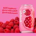 Poppi Sparkling Prebiotic Soda Beverage with Apple Cider Vinegar, Seltzer Water and Fruit Juice, Raspberry Rose Flavor, 12 oz, Pack of 12, Packaging May Vary (EXP 12/30/26)