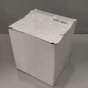 Elanze Designs Stegosaurus Dinosaur Friends Tabletop Figurine Fossil Bone Paleontologist 100MM Sturdy Glitter Water Musical Dinosaur Snow Globe Plays Tune Born Free