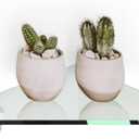 Fab Glass and Mirror 14" X 14" Corner Kit with Triangle Chrome Brackets Glass Shelf, Clear