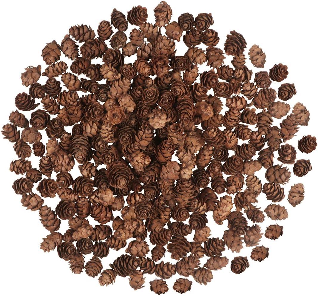 200PCS Christmas Natural Pine Cones Mini Fall Decorations Pinecones Ornaments Bulk Small Pine Cones for DIY Crafts Thanksgiving Fall Winter Christmas Wedding Decor Vase Filler Decor