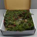 22 inch Artificial Christmas Wreath for Front Door Winter Cedar Wreath with Pine Cones,Pine Needles for Front Door Farmhouse Indoor Outdoor Holiday Home Decor (Green Pine Needle and Red Berry B)