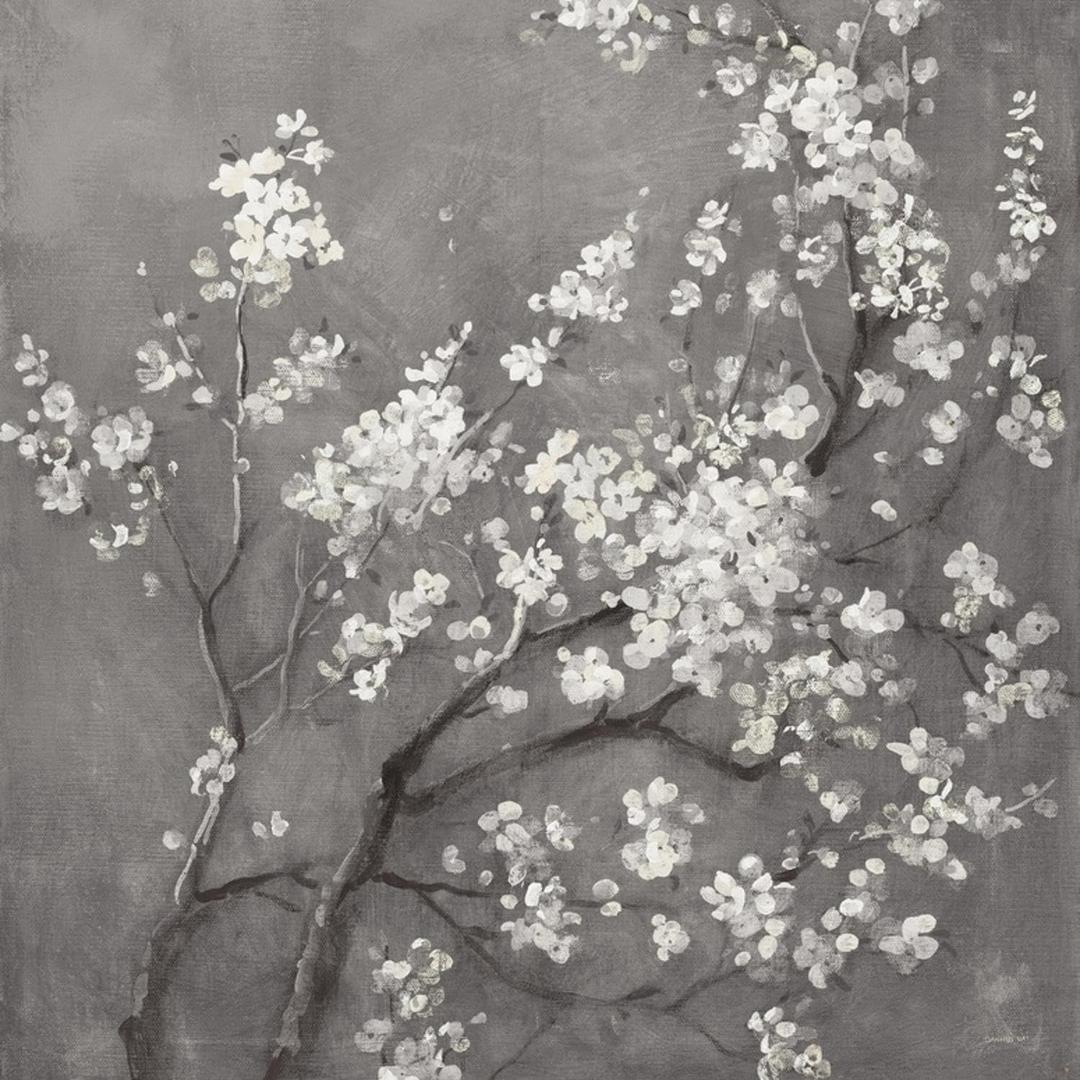 ART.COM Wall Art Print White Cherry Blossoms I on Grey Crop by Danhui Nai, 16" x 16"