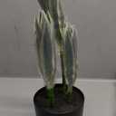 Fake Plant 11.22 Inch Fake Snake Plant Artificial Plants Indoor Sansevieria Faux Plants with Black Pot Artificial Snake Plant for Living Room Bathroom Office Table Centerpieces Shelf Home Decor (Green #14)