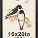 16x20 Frames as Poster Frames, 1.37-In Wide MDF Frame with Plexiglass, 16 x 20 Picture Frames for Wall, Black