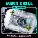 DUDE Wipes Mint Chill Flushable Wipes - Extra-Large Adult Wet Wipes - 3 Pack (144 Count) - Infused with Tea Tree Oil, Vitamin E, and Aloe - Septic and Sewer Safe
