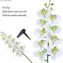 Fnize Faux Orchid Stems Real Touch Artificial Phalaenopsis Flowers Latex Petals 38 Inches 2pcs (Green White)