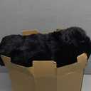 Cozy Bliss Faux Fur Throw Blanket for Couch, Fuzzy Soft Plush Thick Bubble Blanket for Sofa Bedroom Living Room, 50 * 60 Inches Black