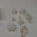 Gold Hanging Air Plants Holders Small Tillandsia Airplants Hangers 6 Pack Geometric Wire Himmeli Air Fern Display Planter with Chains Airferns Metal Hanging Holders