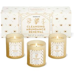 Candle Set - 3 Pack Soy Wax Aromatherapy Scented Candles for Energy Cleansing, Manifestation, Palo Santo, Sage, Citronella, Long Lasting, Gift for Women, for her, Smudge Kit