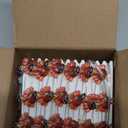 Grastfu 10 Ft 30 LED Thanksgiving Decorations Turkey String Lights, Thanksgiving Lights Decorations Battery Operated Turkey Lights Copper Wire Fairy String Lights for Party Home Indoor Decor