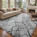 6x9 Ft Large Shag Rugs for Living Room Decor, Tie-Dyed Ultra Soft Fluffy Furry Area Rugs for Bedroom Indoor Floor, Aesthetic Carpet for Kids Home (Grey)