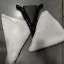 Detachable Sissy Bar Passenger Backrest for Indian Springfield Dark Horse/Challenger/Chieftain/Roadmaster/Pursuit Vintage Chief Limited 14-up Accessories (Gloss Black)