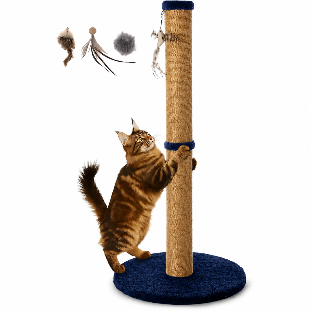 34-inch Tall Cat Scratching Post with Plush Base Cat Scratcher for Indoor Cat with Natural Sisal Rope,  Round Platform, Blue 