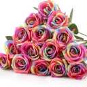 Hotop 20 Pcs Artificial Rose Flowers with Long Stem,Real Touch Silk Realistic Plastic Bouquet Roses Bulk for Home Decor Bridal Wedding Party Table Centerpieces Decorations(Rainbow)
