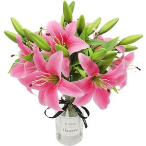 Hananona 8 Pcs Artificial Real Touch Easter Lily Spring Flowers for Wedding Home Decoration - Plastic Tiger Lily Faux Flowers (Pink, 8)
