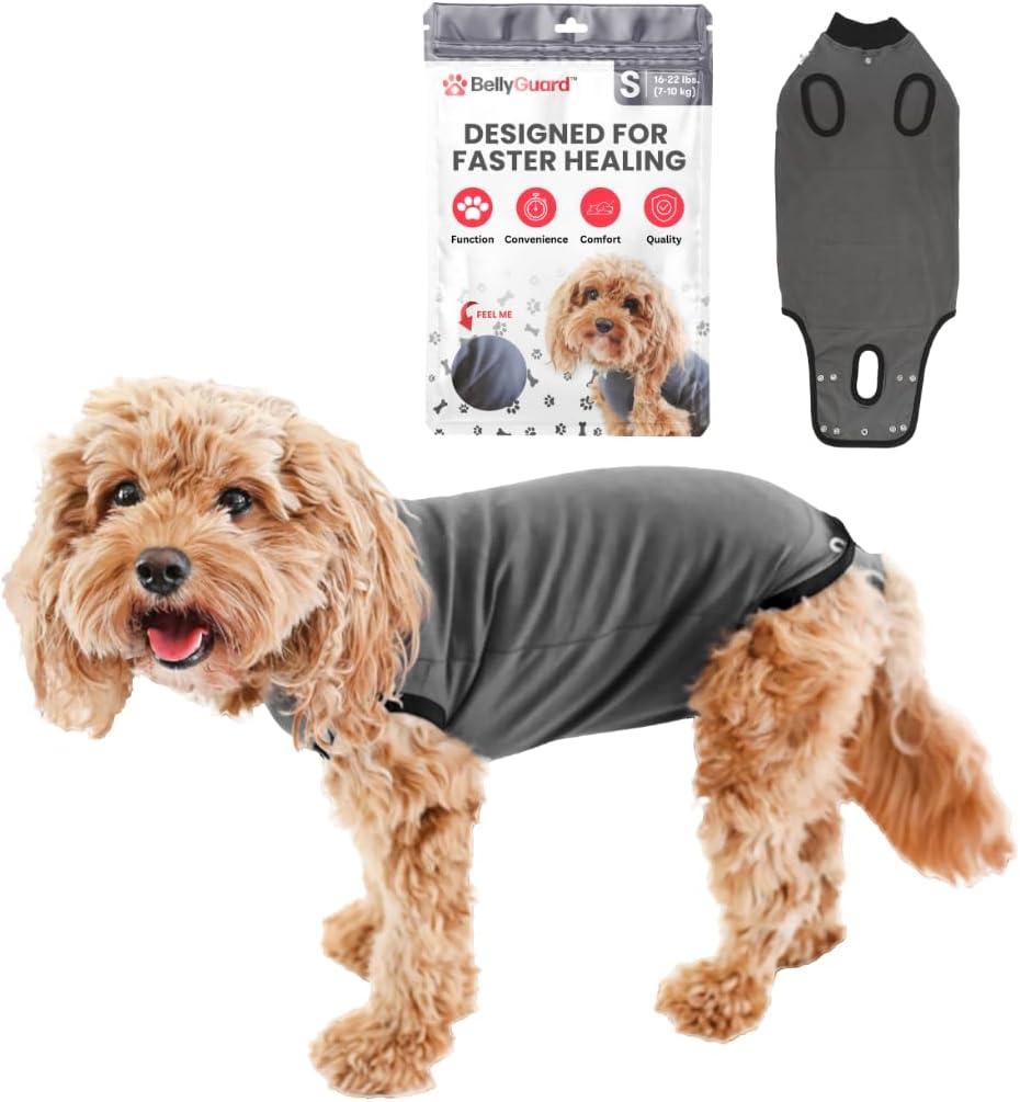 BellyGuard Recovery Suit for Dogs, Comfy Dog Surgery Suit, Female Spay and Male Neuter Onesie for Post-Op Care (Small, Grey)