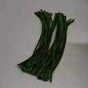 TOAOB 100pcs Pipe Cleaners Moss Green Chenille Stems for Crafts 6mm x 12 Inch Fuzzy Sticks Craft Supplies for DIY Art Craft Projects Home Decorations