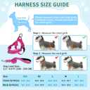 SlowTon No Pull Small Dog Harness and Leash Set, Puppy Soft Vest Harness Neck & Chest Adjustable, Reflective Lightweight Harness & Anti-Twist Pet Lead Combo for Small Medium Dogs (Fuchsia, S) (A-Fuchsia - With Front Clip)