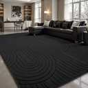 Sour Lemon Area Rugs 9x12 Living Room,Soft Large Area Rug Indoor Modern Carpet for Bedroom Machine Washable Area Rug Non-Slip Rug Carpet for Kids Home Dorm Under Dining Table Office Decor Aesthetic (Black)